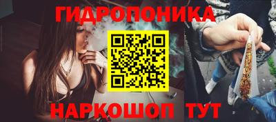 прущие крисы Будённовск