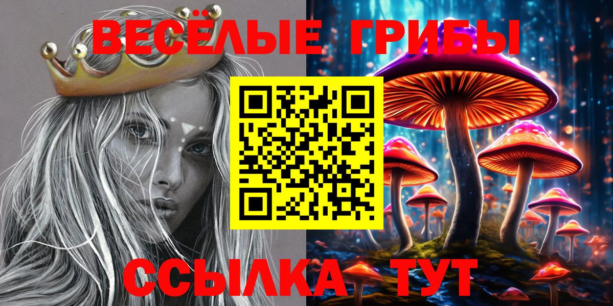Псилоцибиновые грибы Cubensis  Вход с VPN  Галлюциногенные грибы мухоморы  Сальск 